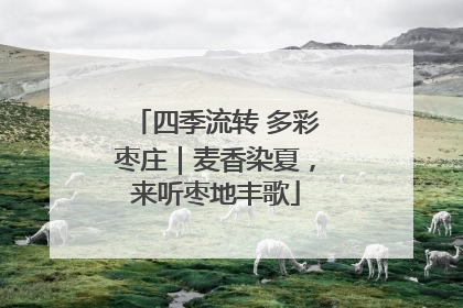 四季流转 多彩枣庄｜麦香染夏，来听枣地丰歌