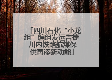 四川石化“小龙组”编组发运告捷 川内铁路航煤保供再添新动能