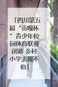 四川第五届“贡嘎杯”青少年校园体育联赛闭幕 乡村小学表现不俗