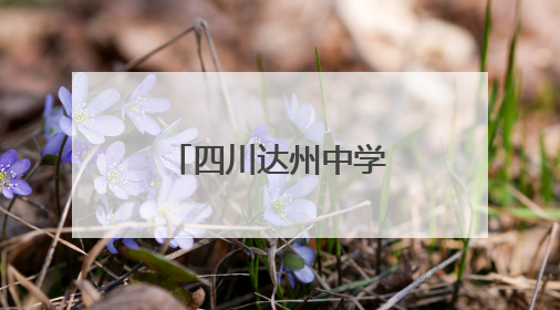 四川达州中学一对双胞胎同上600分+
