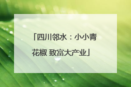 四川邻水：小小青花椒 致富大产业