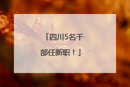 四川5名干部任新职！