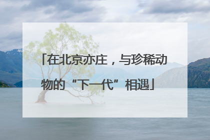 在北京亦庄，与珍稀动物的“下一代”相遇