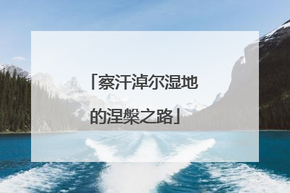 察汗淖尔湿地的涅槃之路