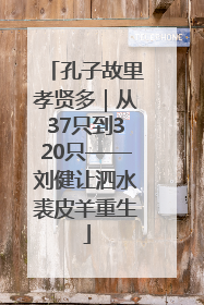 孔子故里孝贤多｜从37只到320只——刘健让泗水裘皮羊重生