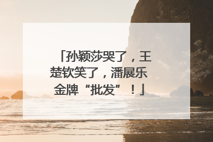 孙颖莎哭了，王楚钦笑了，潘展乐金牌“批发”！