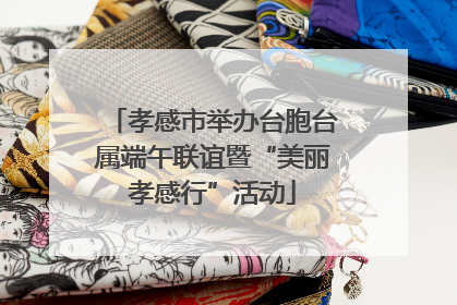 孝感市举办台胞台属端午联谊暨“美丽孝感行”活动