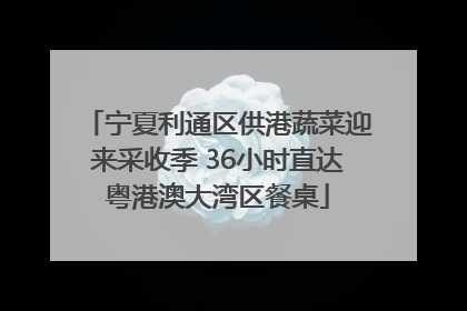 宁夏利通区供港蔬菜迎来采收季 36小时直达粤港澳大湾区餐桌
