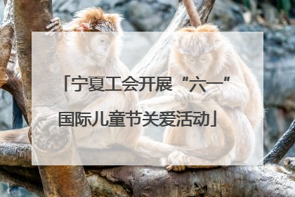 宁夏工会开展“六一”国际儿童节关爱活动