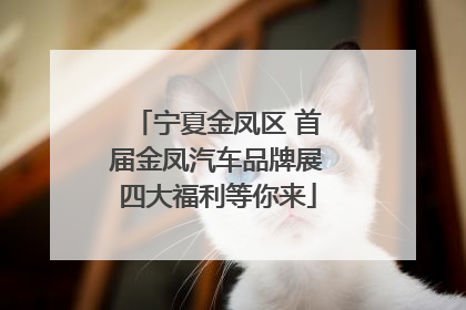 宁夏金凤区 首届金凤汽车品牌展四大福利等你来