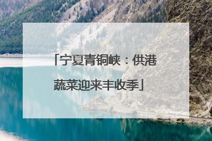 宁夏青铜峡：供港蔬菜迎来丰收季
