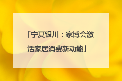 宁夏银川：家博会激活家居消费新动能