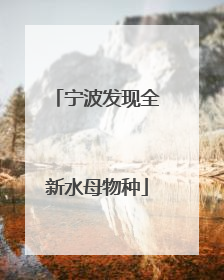 宁波发现全新水母物种
