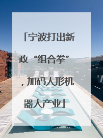 宁波打出新政“组合拳”，加码人形机器人产业