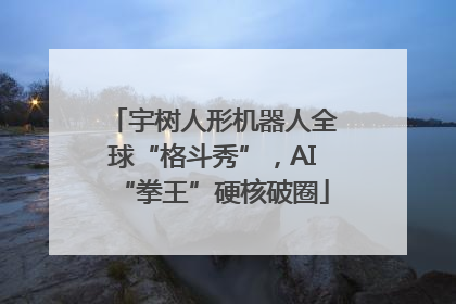 宇树人形机器人全球“格斗秀”，AI“拳王”硬核破圈