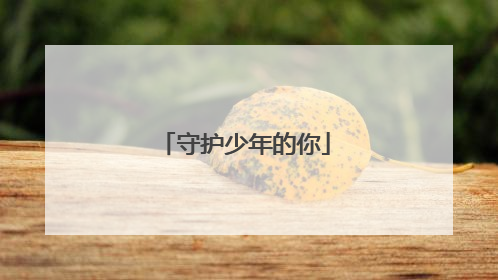 守护少年的你