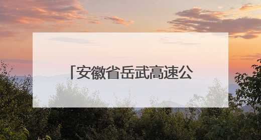 安徽省岳武高速公路路政大队等七家单位到岳西县特教学校开展爱心志愿活动