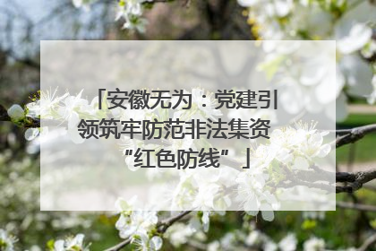 安徽无为：党建引领筑牢防范非法集资“红色防线”