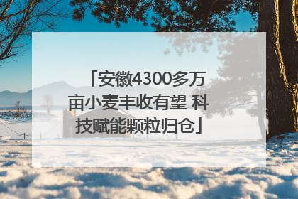 安徽4300多万亩小麦丰收有望 科技赋能颗粒归仓