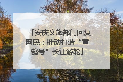 安庆文旅部门回复网民：推动打造“黄鹄号”长江游轮