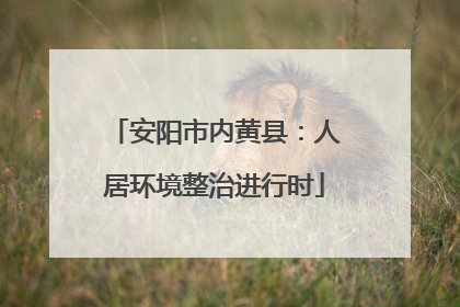 安阳市内黄县：人居环境整治进行时