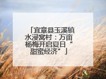 宜章县玉溪镇水浸窝村：万亩杨梅开启夏日“甜蜜经济”