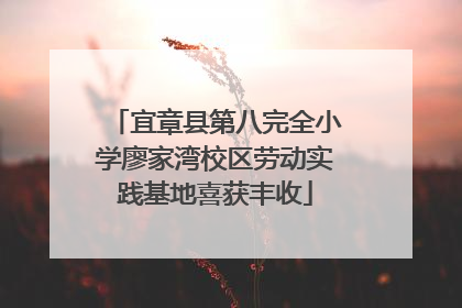 宜章县第八完全小学廖家湾校区劳动实践基地喜获丰收
