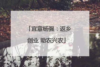 宜章杨强：返乡创业 助农兴农