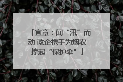 宜章：闻“汛”而动 政企携手为烟农撑起“保护伞”