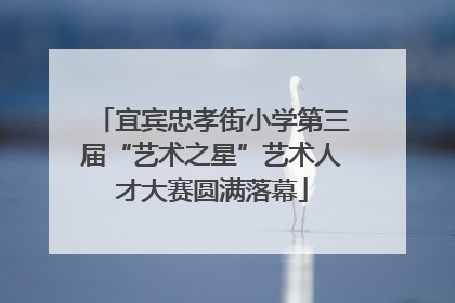 宜宾忠孝街小学第三届“艺术之星”艺术人才大赛圆满落幕