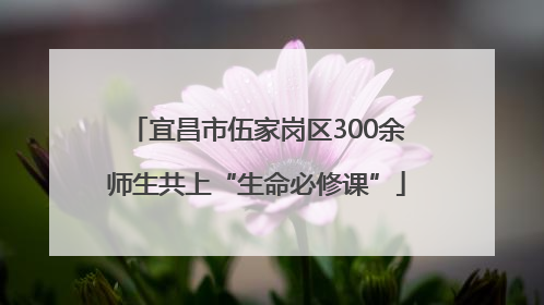宜昌市伍家岗区300余师生共上“生命必修课”