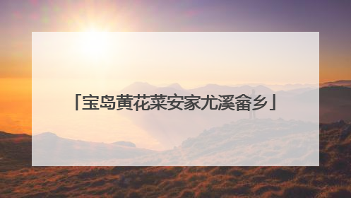 宝岛黄花菜安家尤溪畲乡