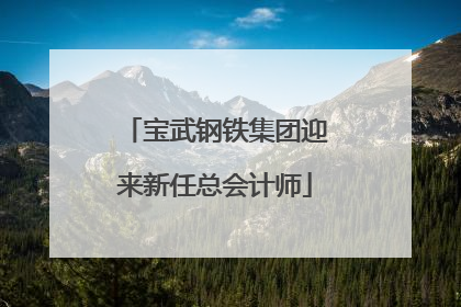 宝武钢铁集团迎来新任总会计师