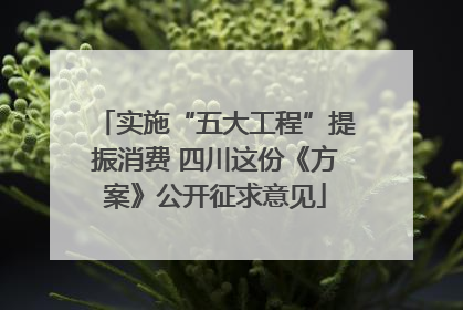 实施“五大工程”提振消费 四川这份《方案》公开征求意见