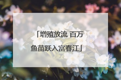 增殖放流 百万鱼苗跃入富春江