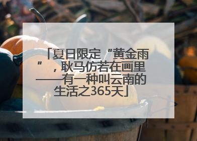 夏日限定“黄金雨”，耿马仿若在画里——有一种叫云南的生活之365天