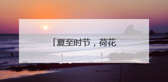夏至时节，荷花初绽，市民游客公园寻觅荷香雅韵