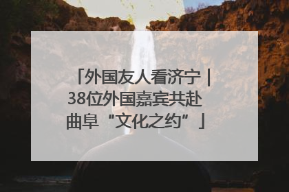 外国友人看济宁｜38位外国嘉宾共赴曲阜“文化之约”