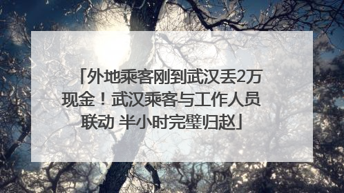 外地乘客刚到武汉丢2万现金！武汉乘客与工作人员联动 半小时完璧归赵