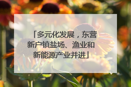 多元化发展，东营新户镇盐场、渔业和新能源产业并进