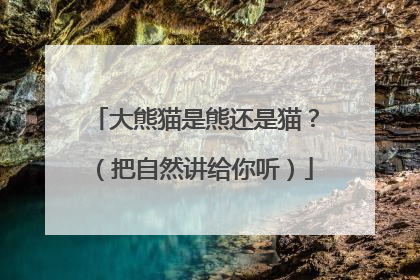 大熊猫是熊还是猫？（把自然讲给你听）