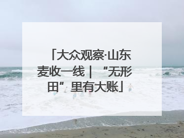 大众观察·山东麦收一线｜“无形田”里有大账