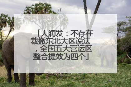大润发：不存在裁撤东北大区说法，全国五大营运区整合提效为四个