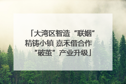 大湾区智造“联姻”精铸小镇 嘉禾借合作“破茧”产业升级
