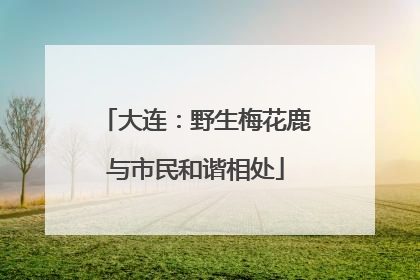 大连：野生梅花鹿与市民和谐相处