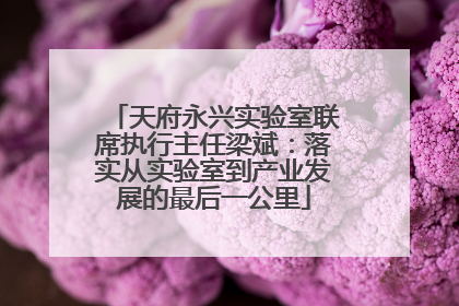 天府永兴实验室联席执行主任梁斌：落实从实验室到产业发展的最后一公里