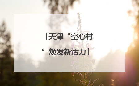 天津“空心村”焕发新活力