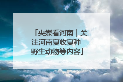 央媒看河南｜关注河南夏收夏种 野生动物等内容