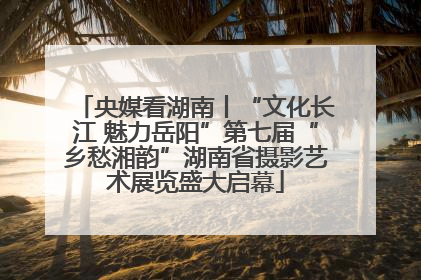 央媒看湖南丨“文化长江 魅力岳阳”第七届“乡愁湘韵”湖南省摄影艺术展览盛大启幕