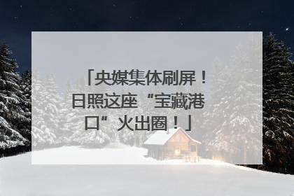 央媒集体刷屏！日照这座“宝藏港口”火出圈！